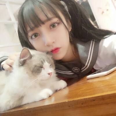 美食传奇手机版下载